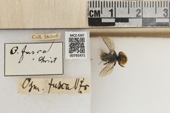 Media type: image;   Entomology 792471 Aspect: Labels